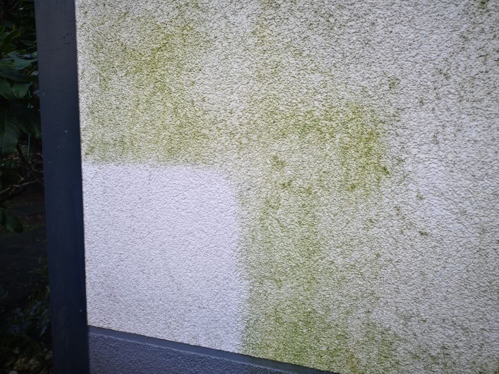 Probefläche an einer Fassade